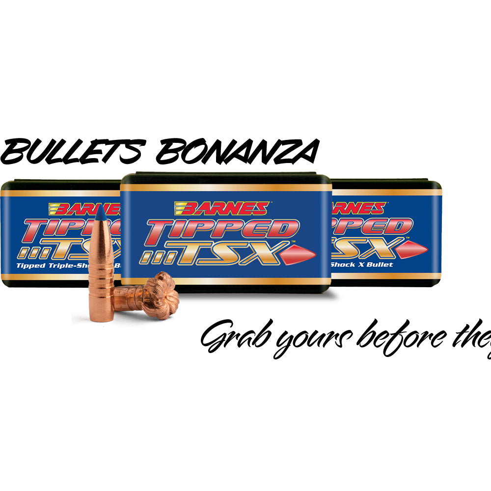 Barnes TTSX bullets