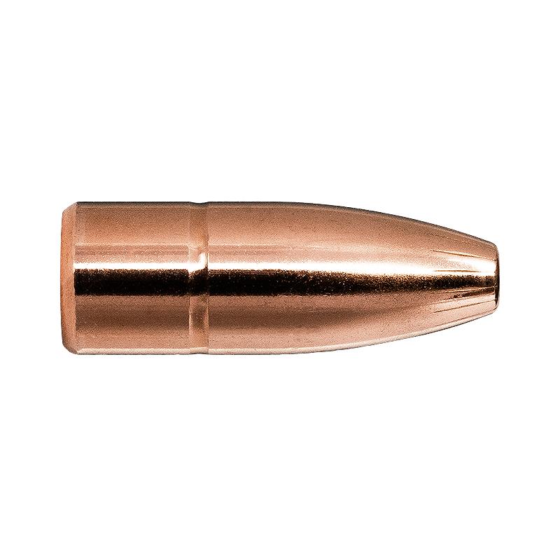 Protected Tip Bullet
